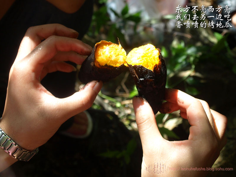 上传的图片