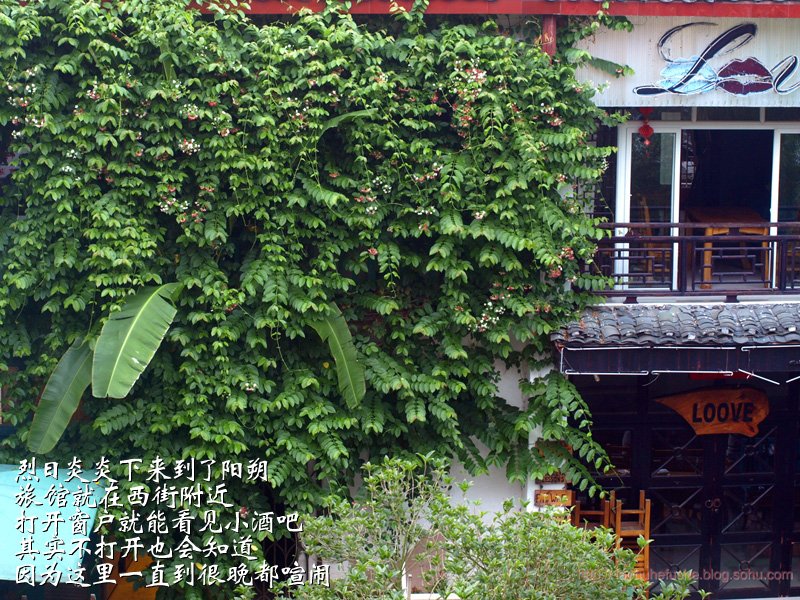上传的图片