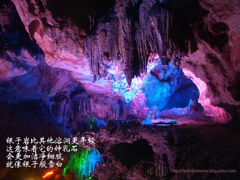 上传的图片