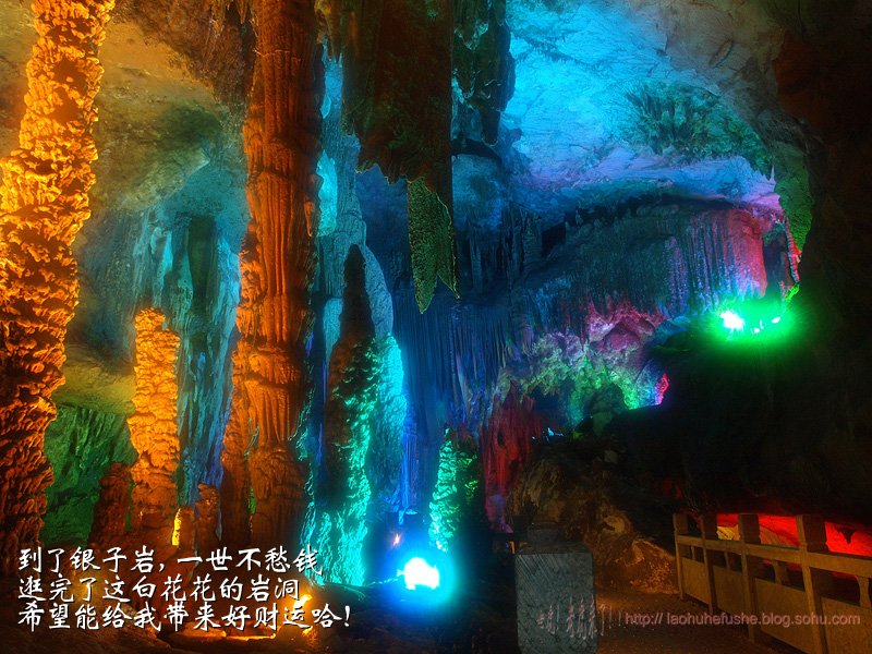 上传的图片