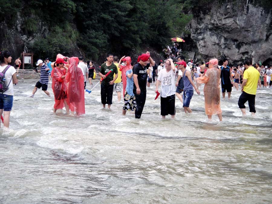 上传的图片