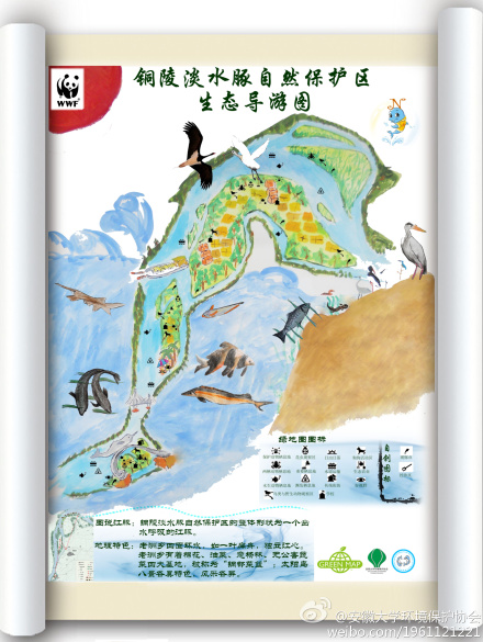 上传的图片