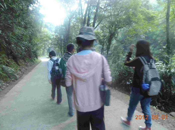 上传的图片