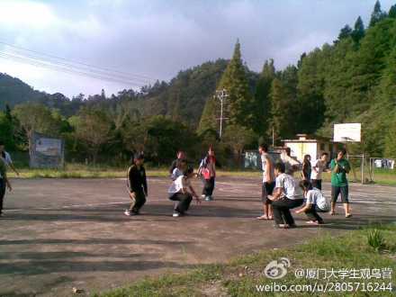 上传的图片