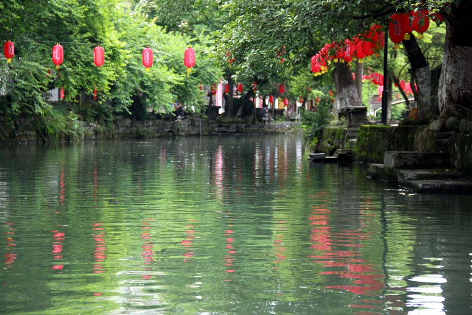 上传的图片