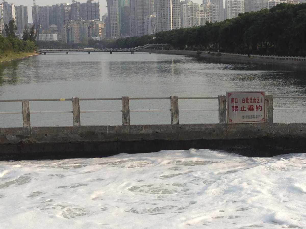上传的图片