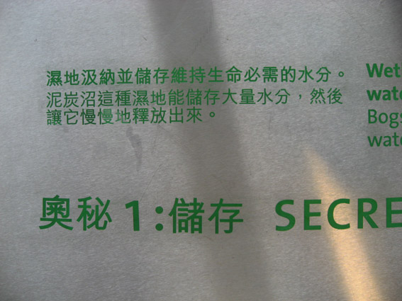 上传的图片