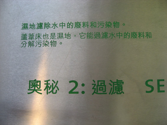 上传的图片