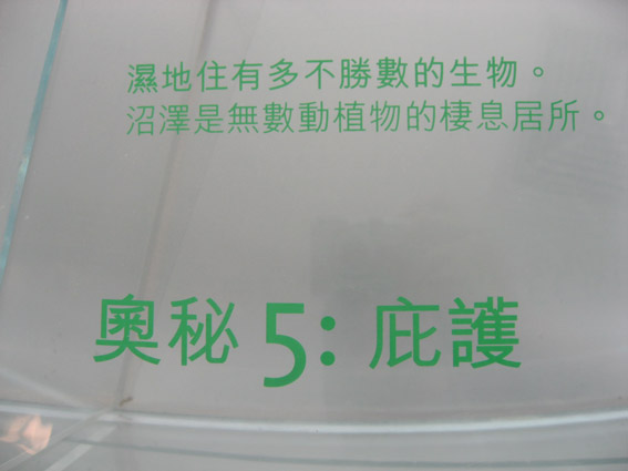 上传的图片