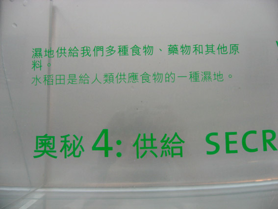 上传的图片