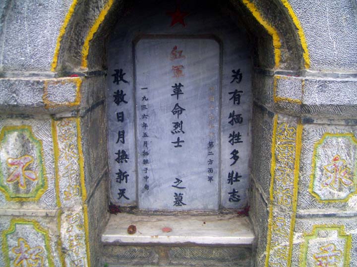 上传的图片