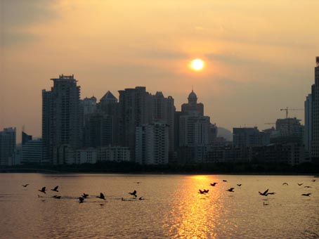 上传的图片