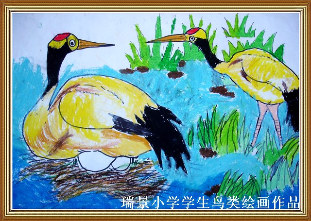 上传的图片