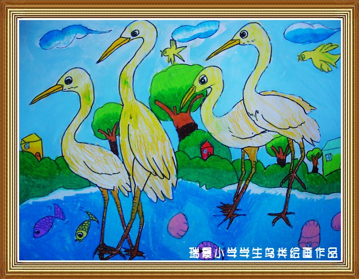 上传的图片