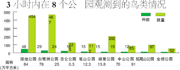 上传的图片