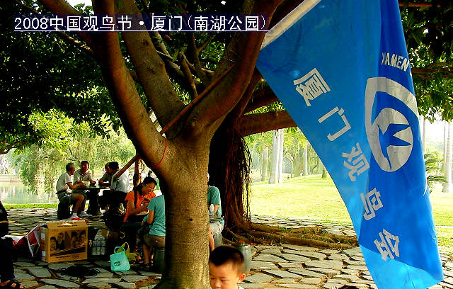 上传的图片
