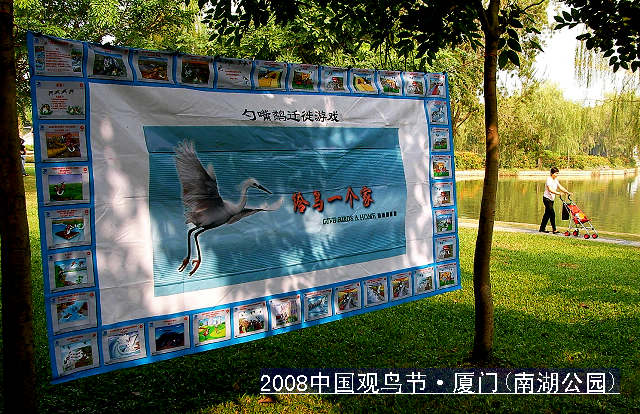 上传的图片