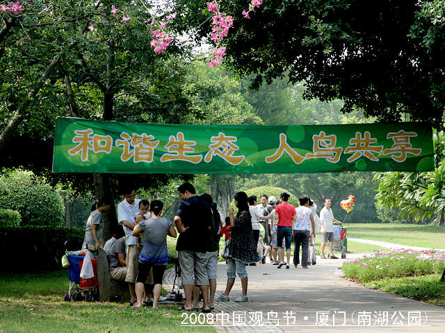 上传的图片