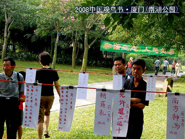 上传的图片