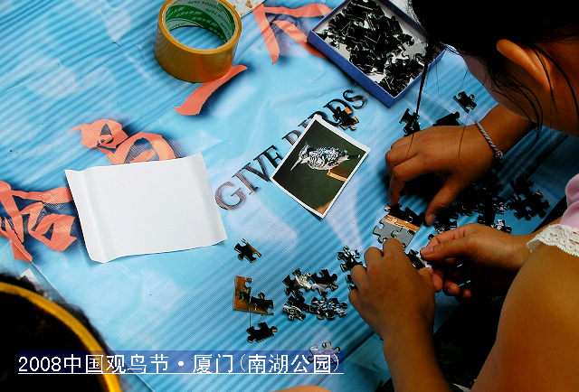 上传的图片