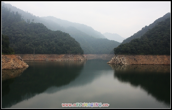 上传的图片