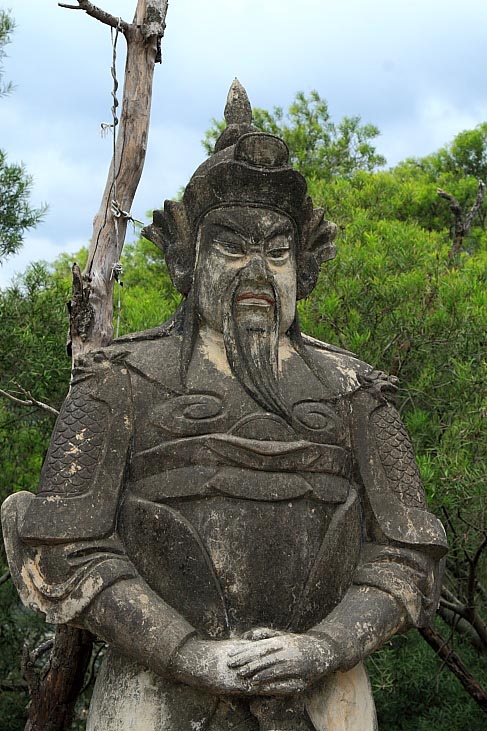 上传的图片