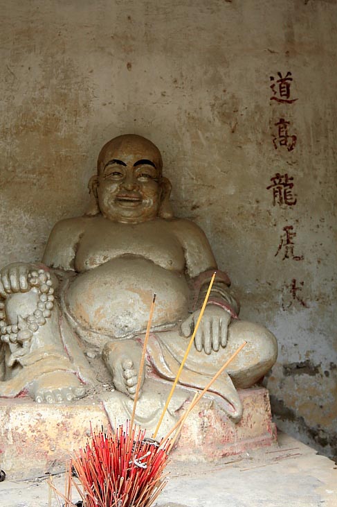 上传的图片