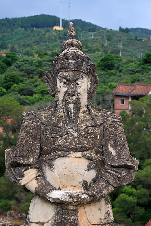 上传的图片