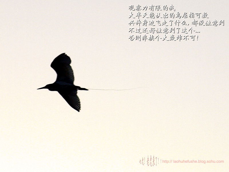 上传的图片