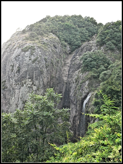 上传的图片