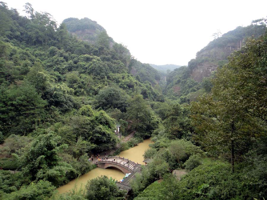 上传的图片