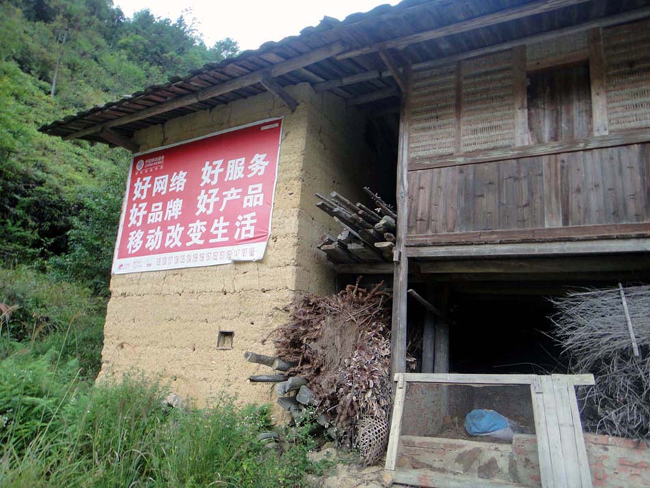 上传的图片