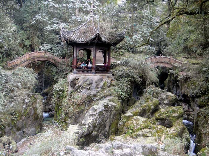 上传的图片