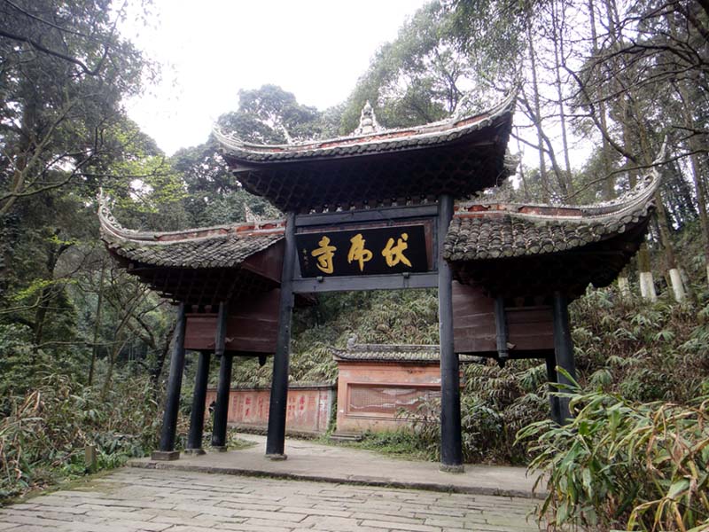 上传的图片