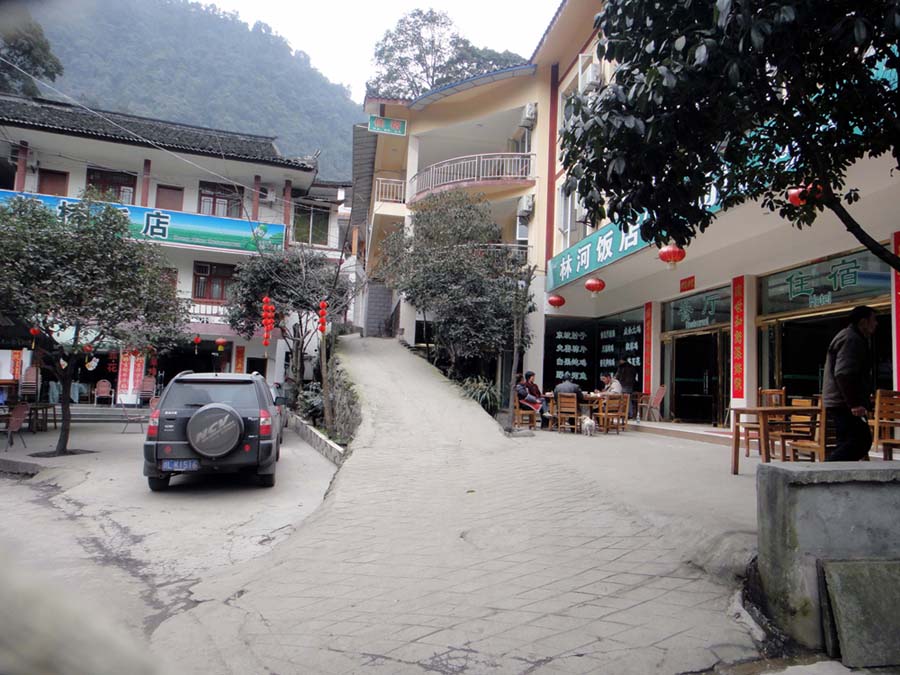 上传的图片