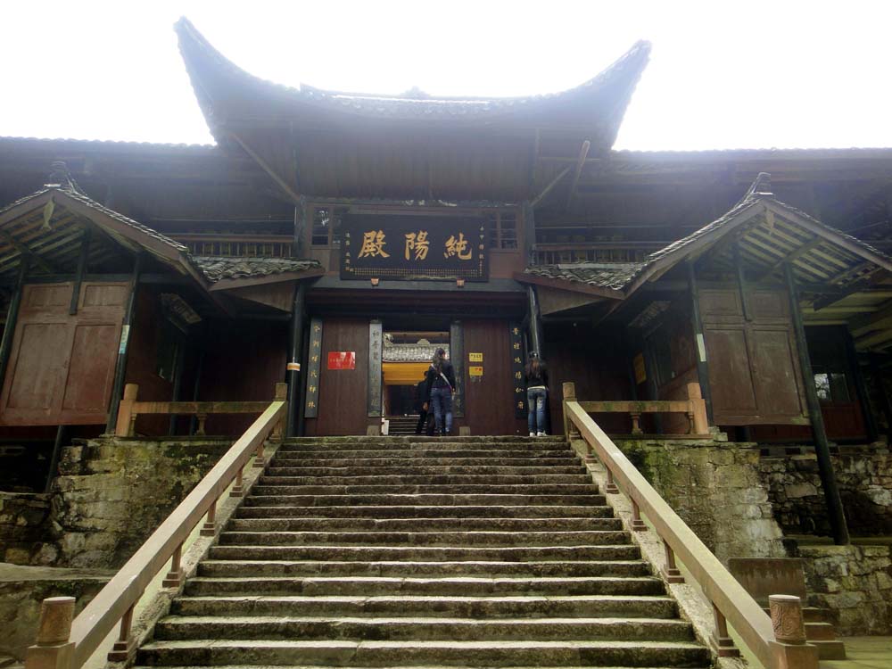 上传的图片