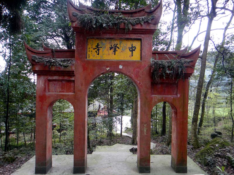 上传的图片
