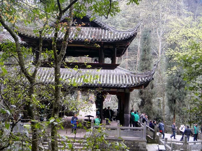 上传的图片