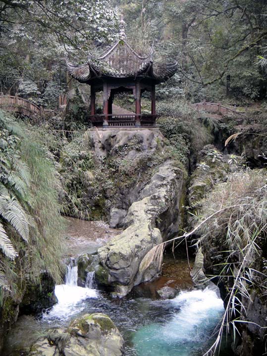上传的图片