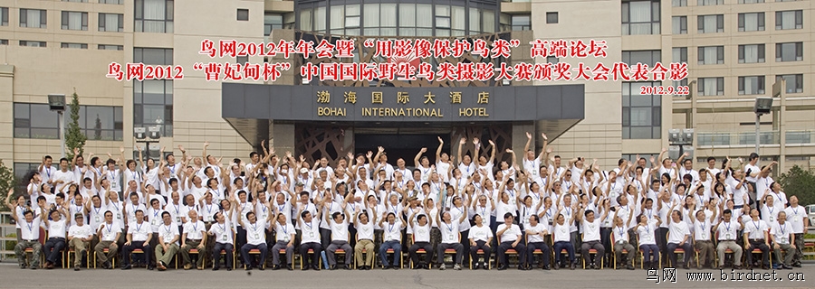 上传的图片