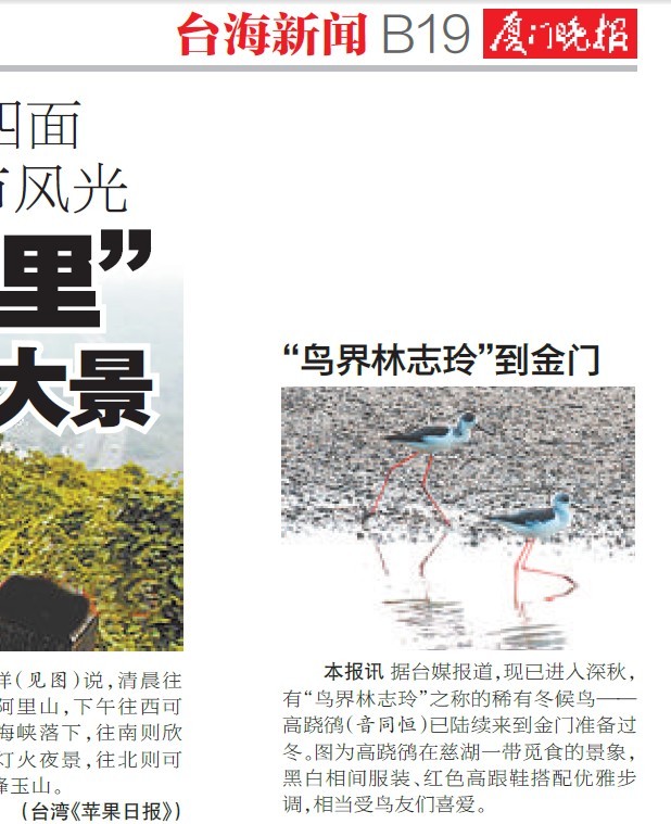 上传的图片