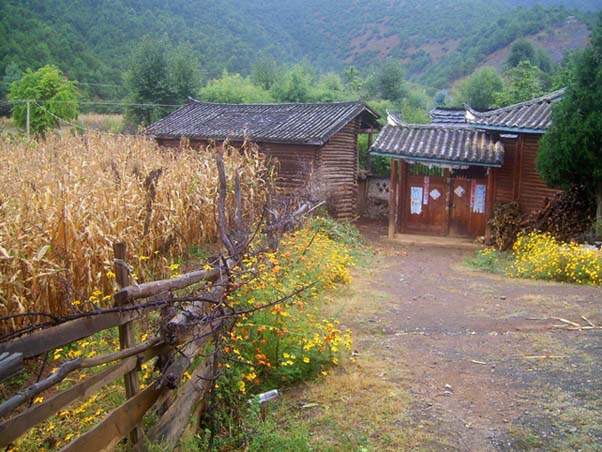 上传的图片