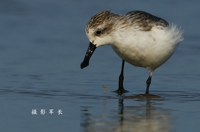 上传的图片