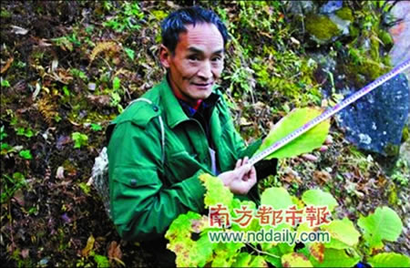 上传的图片