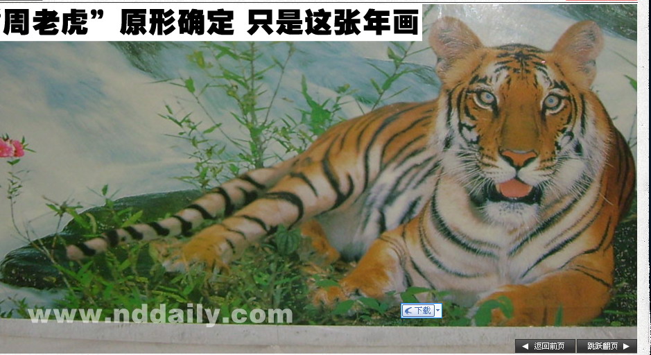 上传的图片
