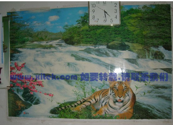 上传的图片