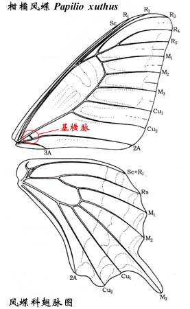 上传的图片
