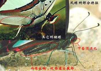 上传的图片