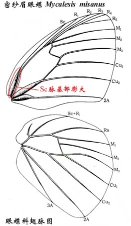 上传的图片