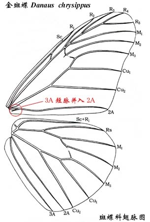 上传的图片